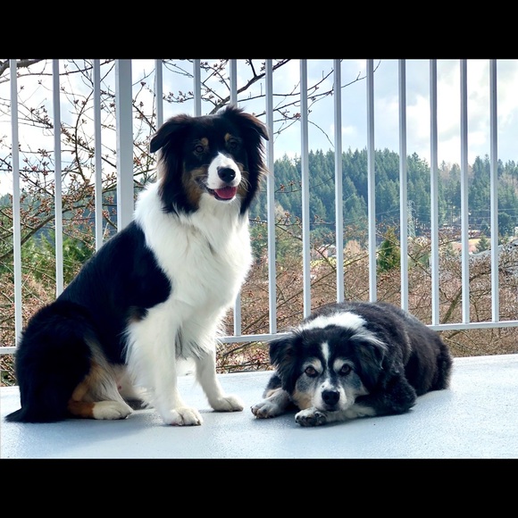 Meet your Posher, Andrew - Picture 1 of 1